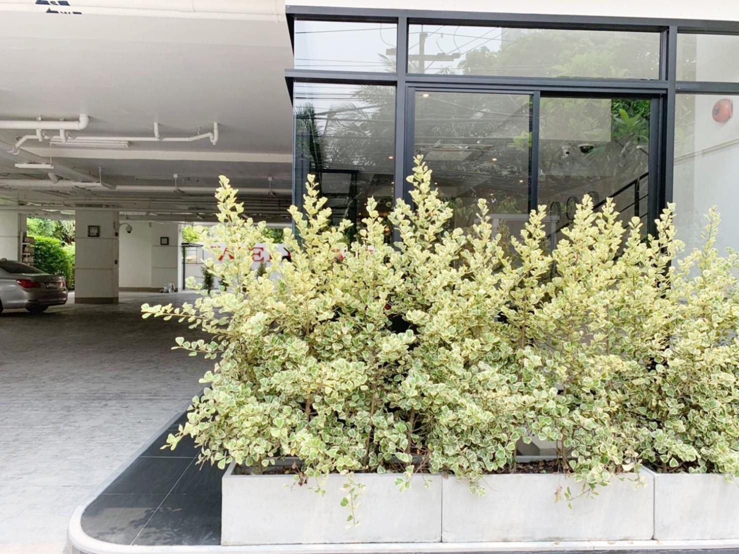 Pacific Residence 39 Bangkok Kültér fotó